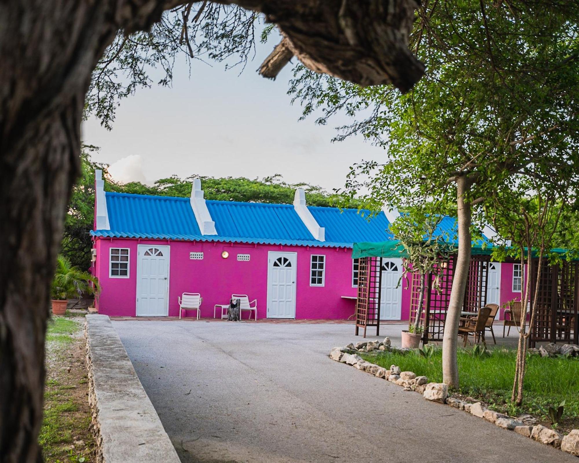 Tera Kora Landhuis Daniel - Plantation House מראה חיצוני תמונה
