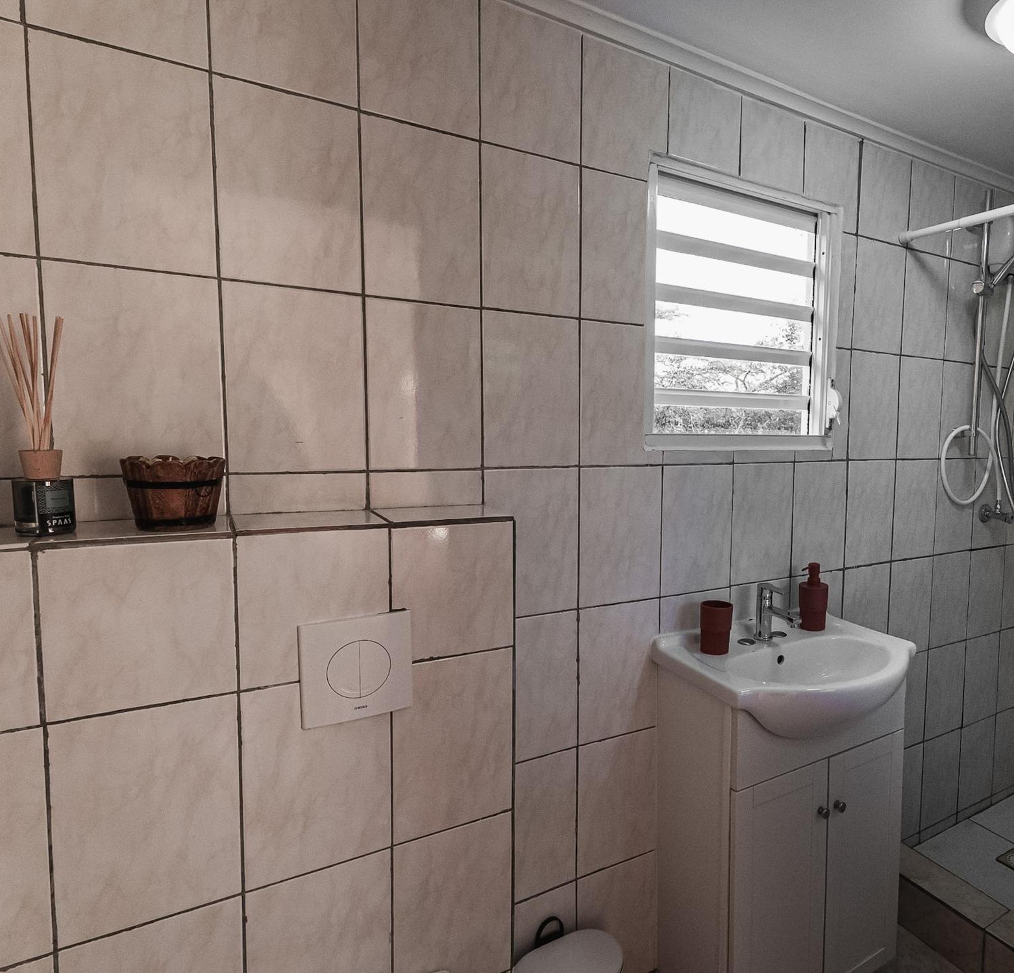 Tera Kora Landhuis Daniel - Plantation House מראה חיצוני תמונה