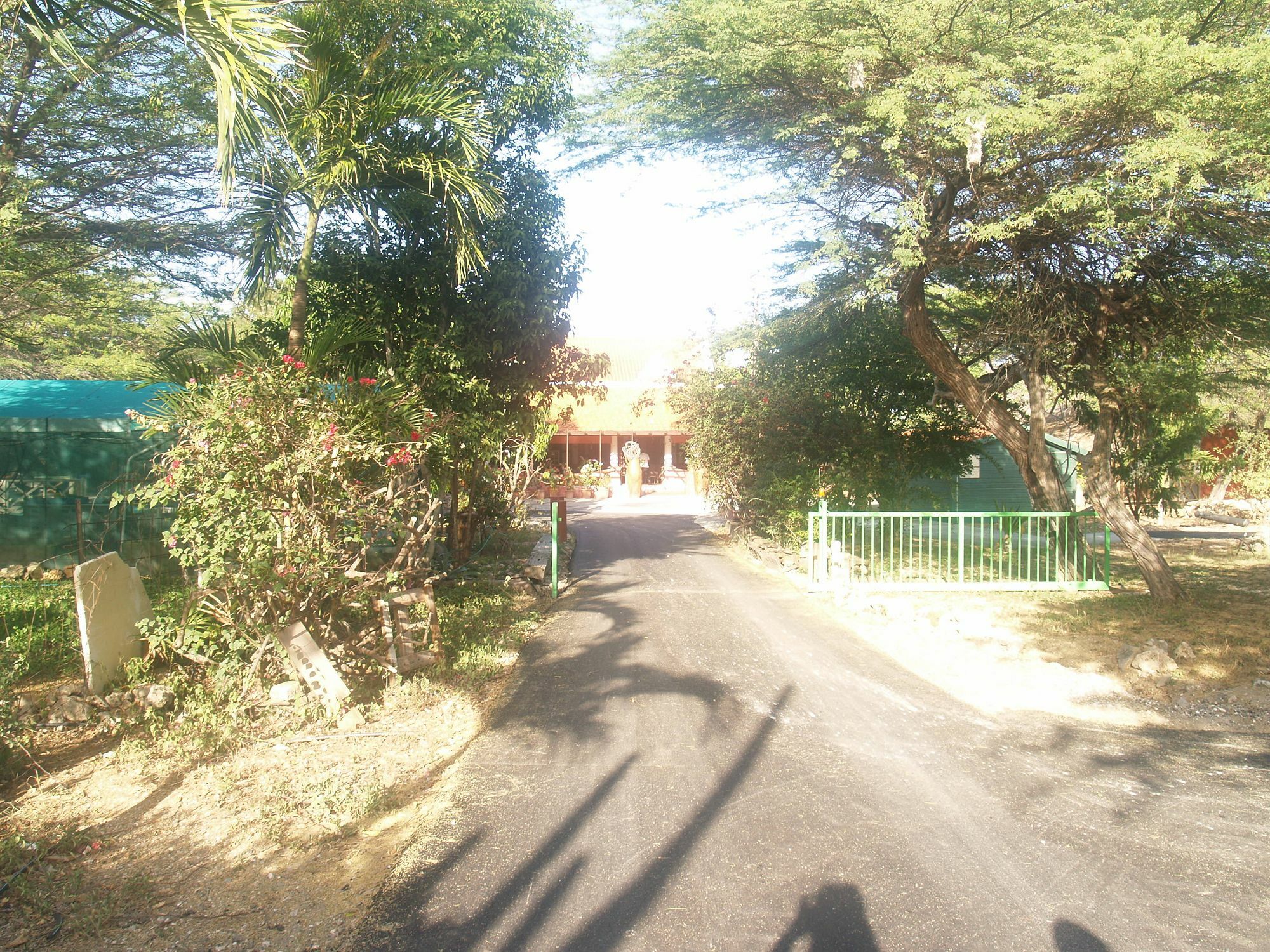 Tera Kora Landhuis Daniel - Plantation House מראה חיצוני תמונה