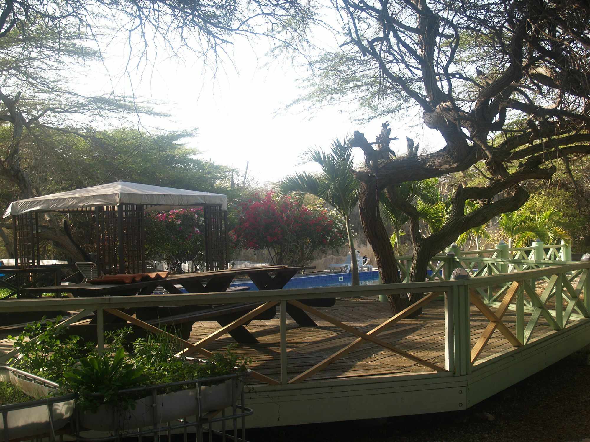 Tera Kora Landhuis Daniel - Plantation House מראה חיצוני תמונה