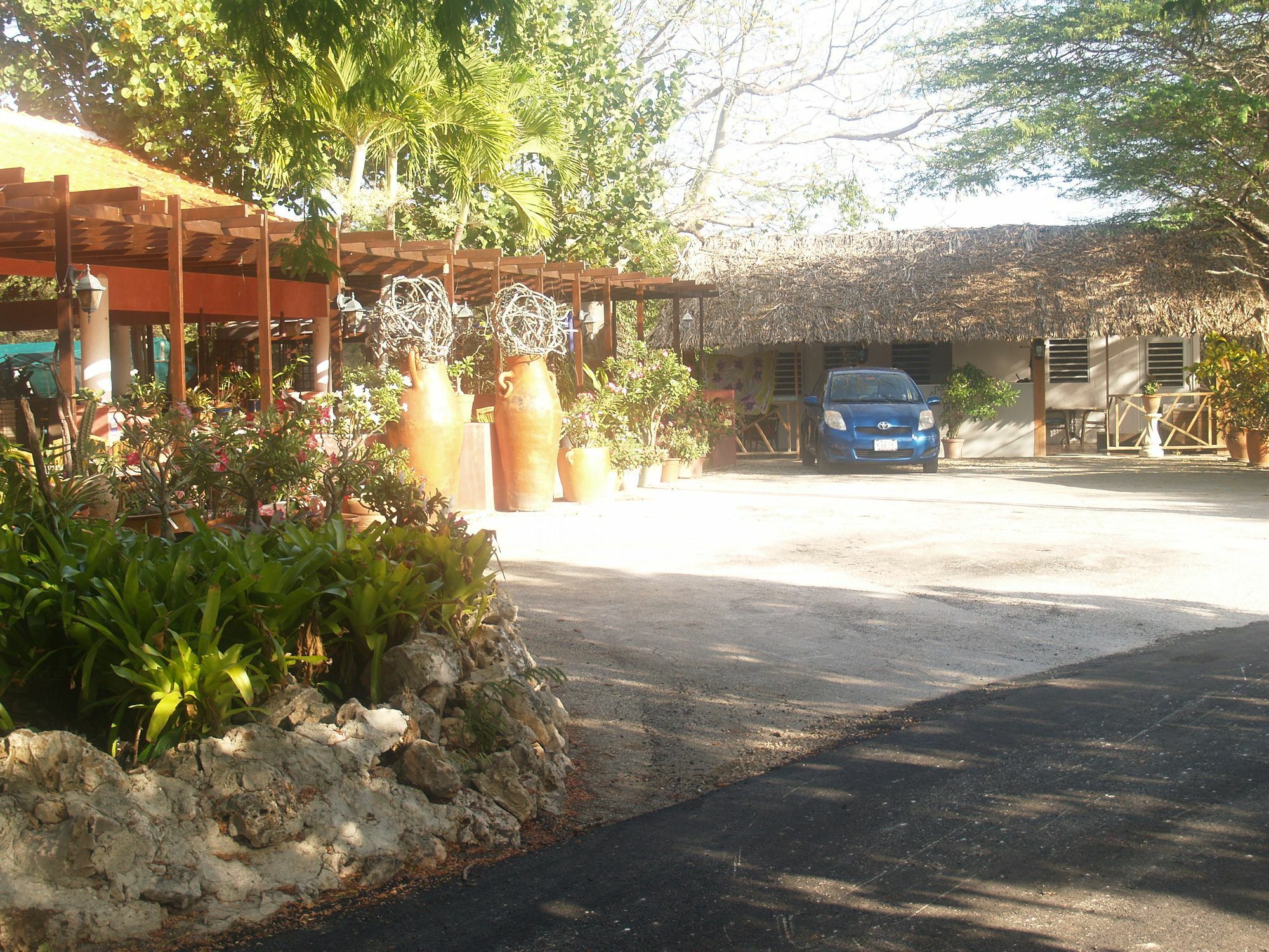 Tera Kora Landhuis Daniel - Plantation House מראה חיצוני תמונה